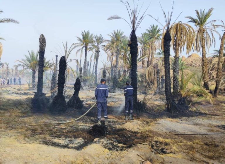 حريقان في يوم واحد بواحات زاكورة.. ودعوات لـ“تبنّي” إجراءات استباقية ضد الحرائق